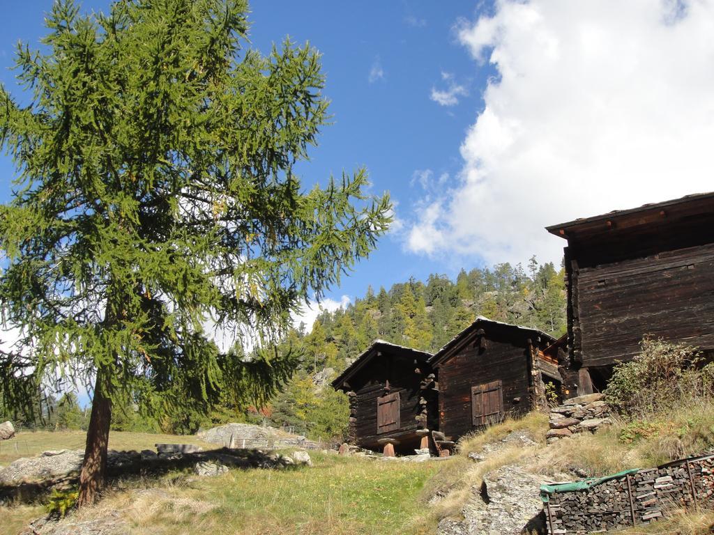 Апартаменты Haus Alpenstern Саас-Грунд Экстерьер фото
