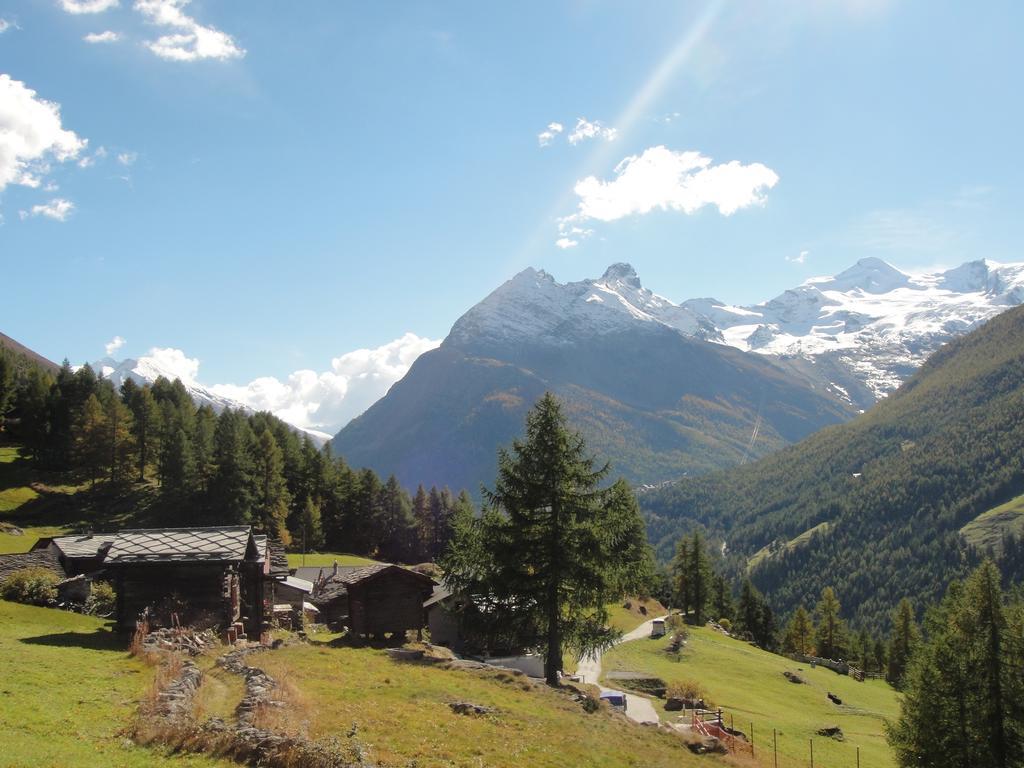 Апартаменты Haus Alpenstern Саас-Грунд Экстерьер фото