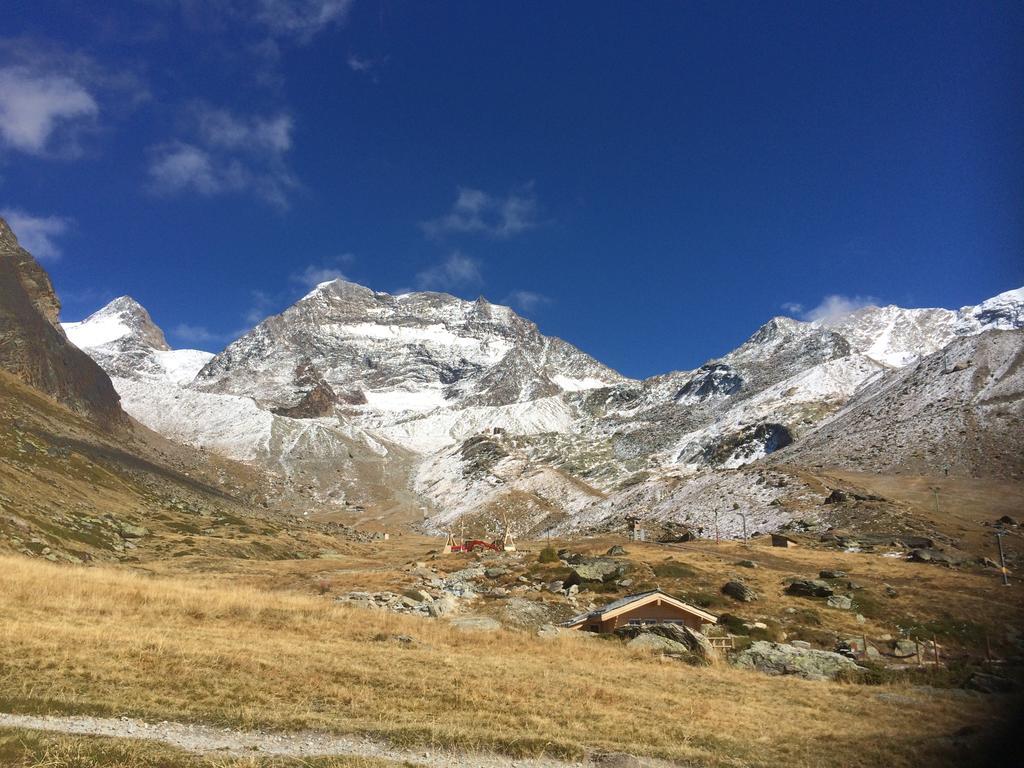 Апартаменты Haus Alpenstern Саас-Грунд Экстерьер фото