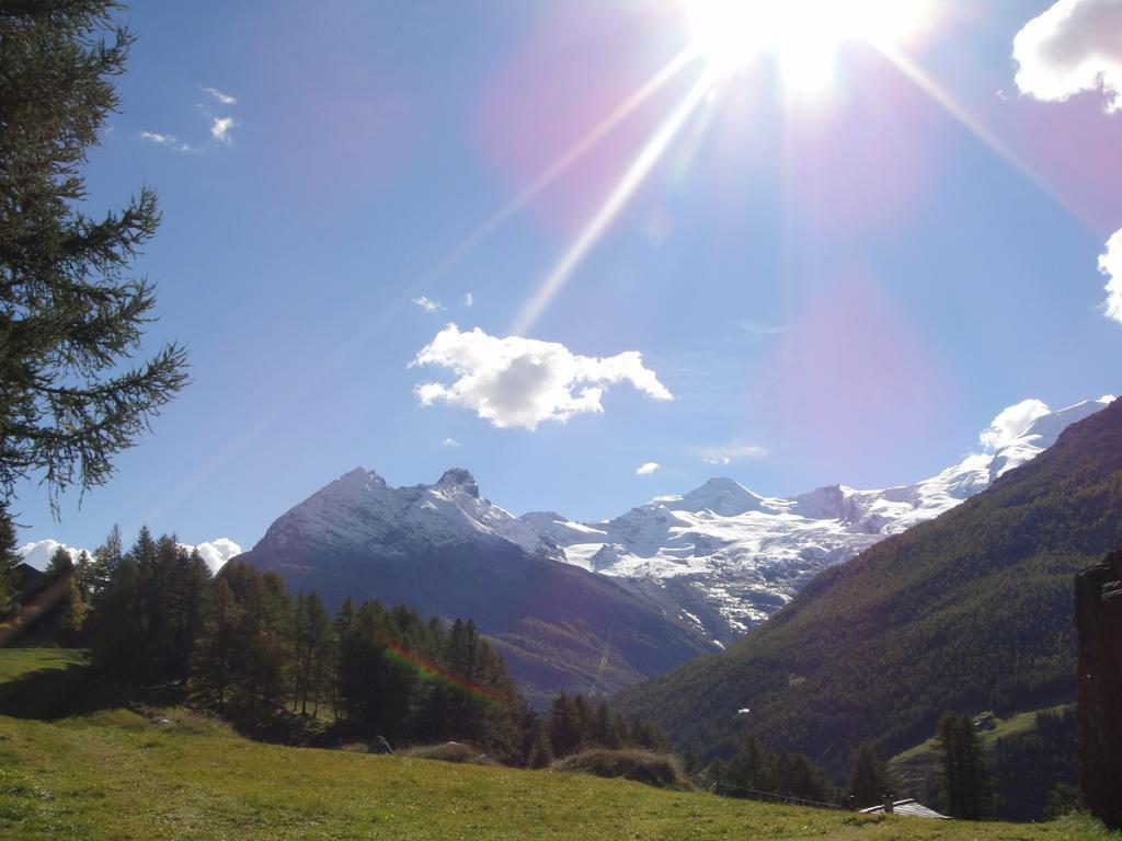 Апартаменты Haus Alpenstern Саас-Грунд Экстерьер фото