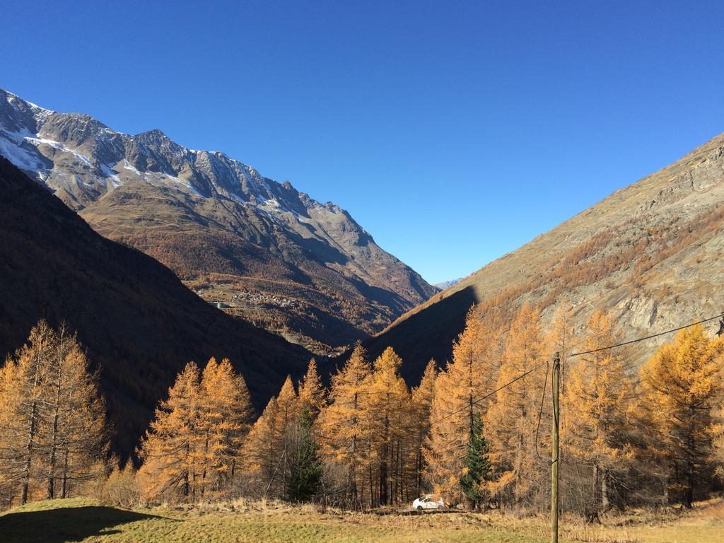 Апартаменты Haus Alpenstern Саас-Грунд Экстерьер фото