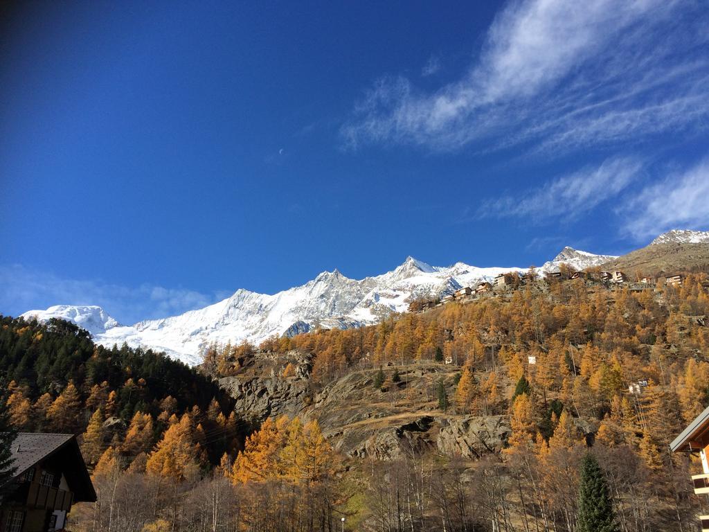 Апартаменты Haus Alpenstern Саас-Грунд Экстерьер фото