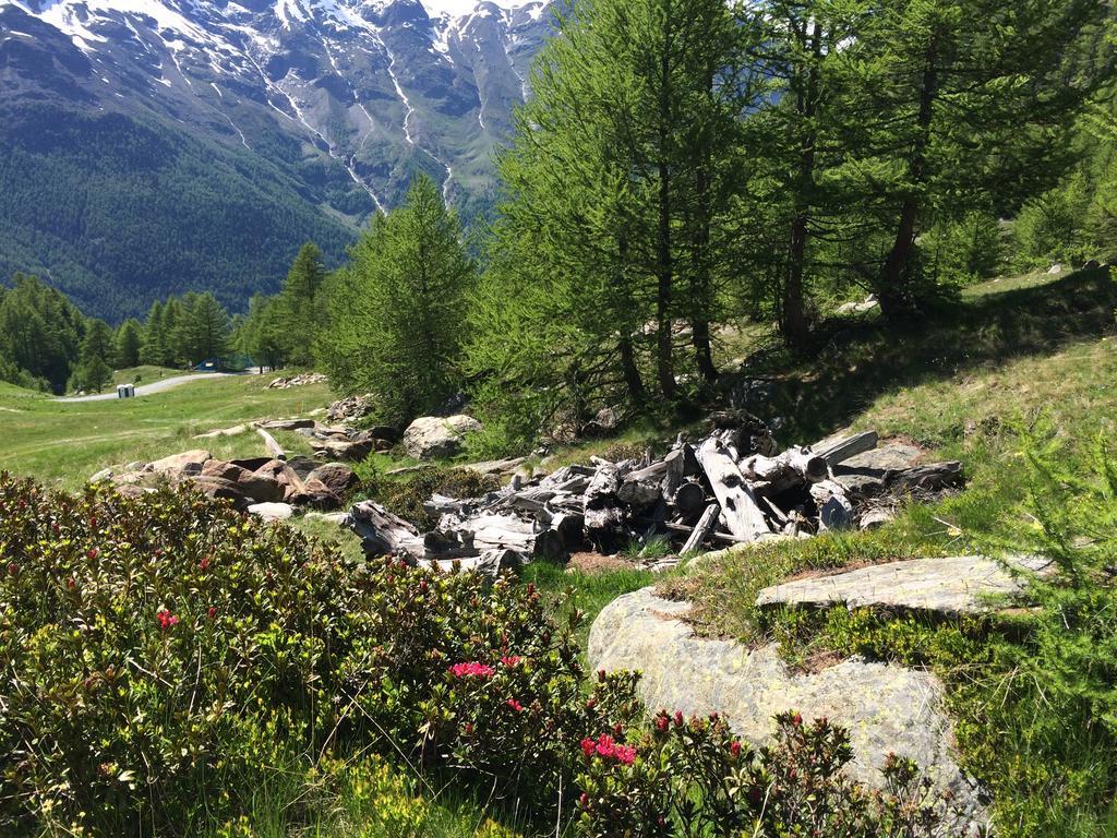 Апартаменты Haus Alpenstern Саас-Грунд Экстерьер фото