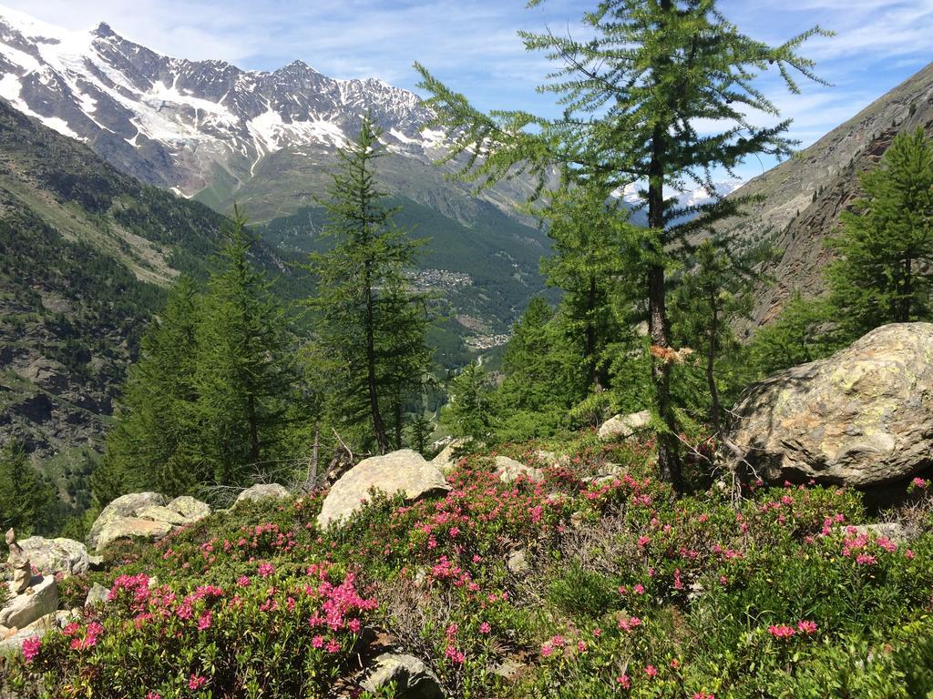 Апартаменты Haus Alpenstern Саас-Грунд Экстерьер фото